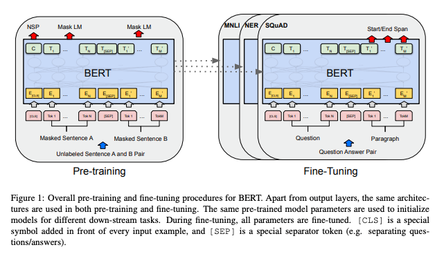 출력 계층을 제외하고, 사전 훈련과 미세 조정 모두에서 동일한 아키텍처가 사용된다. 동일한 사전 훈련된 모델 매개 변수는 다양한 다운스트림 작업에 대한 모델을 초기화하는 데 사용된다. 미세 조정 중에는 모든 파라미터가 미세 조정됩니다. [CLS]는 모든 입력 예제 앞에 추가된 특수 기호이고 [SEP]는 특수 구분 토큰(예: 질문/답변 구분)입니다.